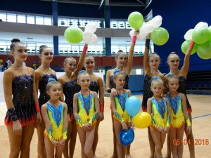 Выступления на соревнованиях в 2015 году
