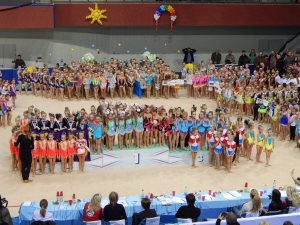 Выступления на соревнованиях в 2015 году