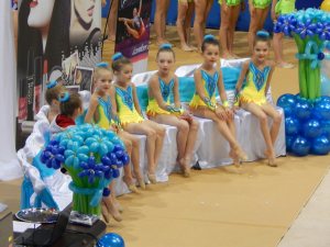 Выступления на соревнованиях в 2015 году