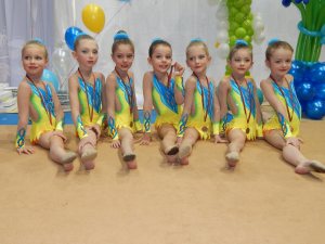 Выступления на соревнованиях в 2015 году