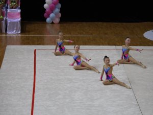 Выступления на соревнованиях в 2017 году