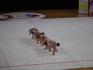 Выступления на соревнованиях в 2017 году
