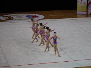 Выступления на соревнованиях в 2017 году