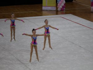 Выступления на соревнованиях в 2017 году