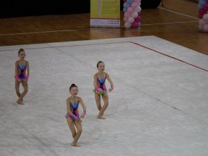Выступления на соревнованиях в 2017 году