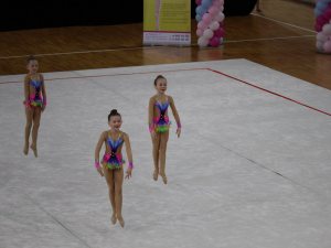 Выступления на соревнованиях в 2017 году