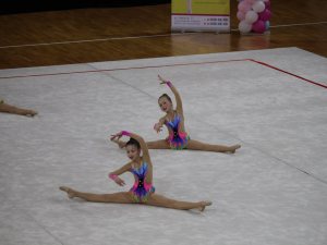 Выступления на соревнованиях в 2017 году