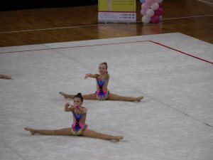 Выступления на соревнованиях в 2017 году