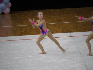 Выступления на соревнованиях в 2017 году