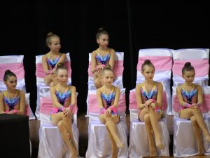 Выступления на соревнованиях в 2017 году