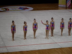 Выступления на соревнованиях в 2017 году
