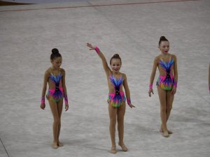 Выступления на соревнованиях в 2017 году