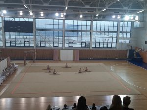 Выступления на соревнованиях в 2020 году