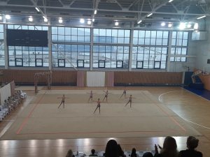 Выступления на соревнованиях в 2020 году