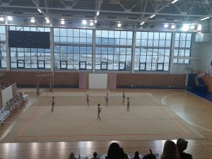 Выступления на соревнованиях в 2020 году