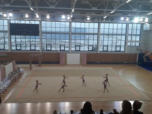 Выступления на соревнованиях в 2020 году