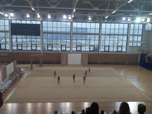 Выступления на соревнованиях в 2020 году