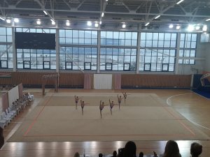 Выступления на соревнованиях в 2020 году