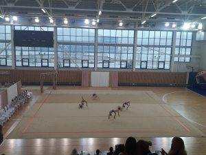 Выступления на соревнованиях в 2020 году