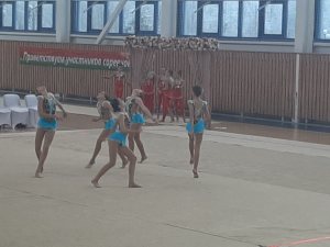Выступления на соревнованиях в 2020 году
