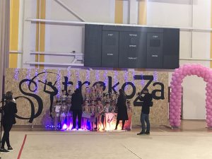 Выступления на соревнованиях в 2020 году